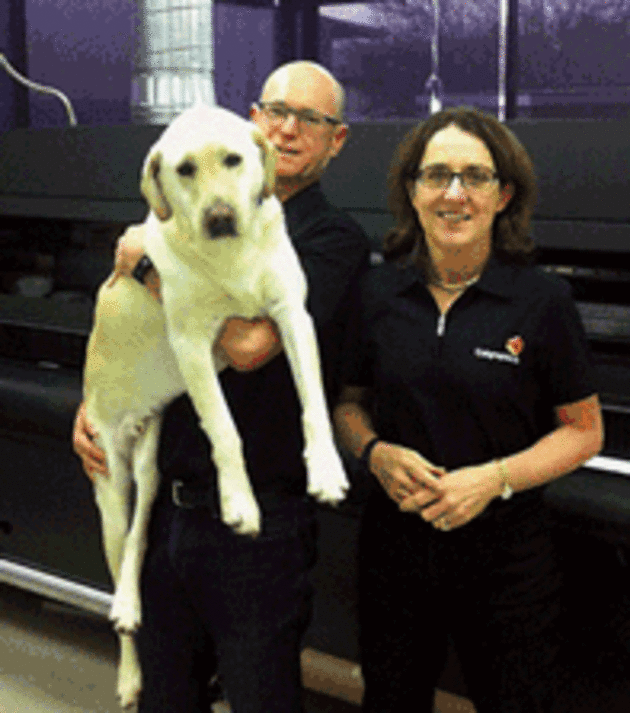 Buddy, an ex-guide dog Labrador, is an essential part of Anne and Andrew Bennett&#39;s team.