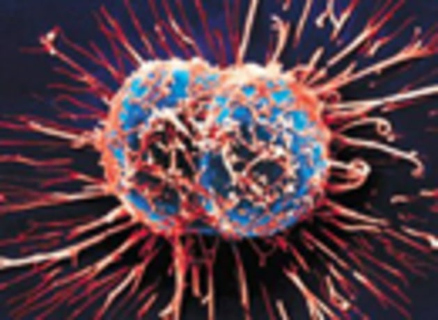 Cancerous-Cells