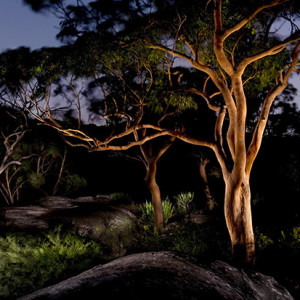 Photo by Peter Solness, finalist, 2013 Head On Landscape Prize.