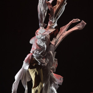 Timothy Walsh. Choreography Gavin Webber. Photo: Leigh Turner, Bottlebrush Studio.