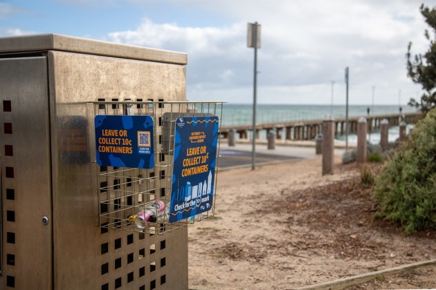 Bin basket: Mornington Peninsula