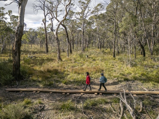 Broad Swamp Loop Track. NPWS