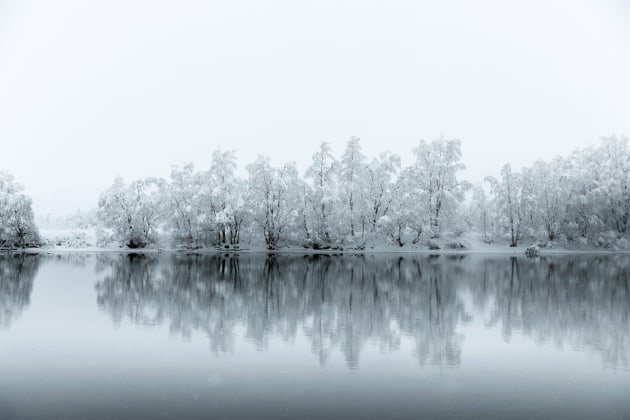 Frozen Silence. Image © Claire Droppert