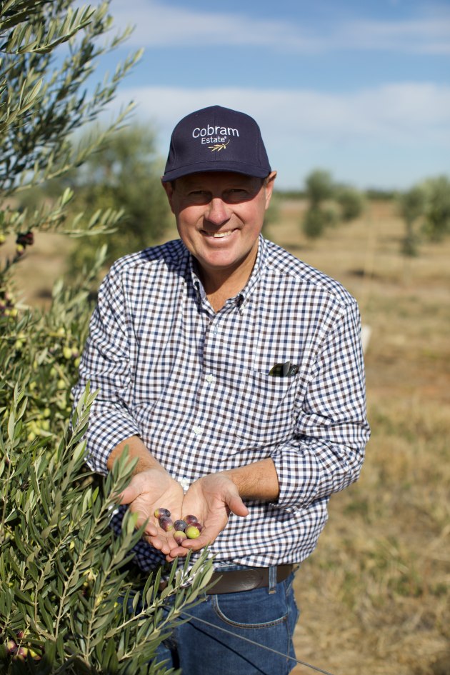 Cobram Estate chair and co-founder, Rob McGavin. (Image: Cobram Estate)