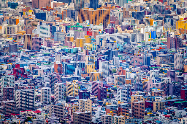 Craig McGowan, Sapporo