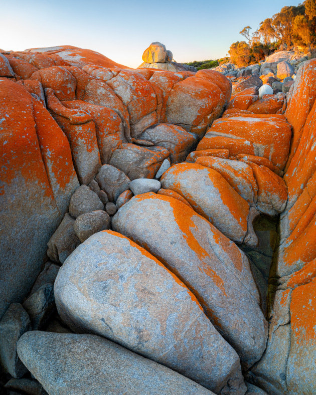 Image: Mike O'Connor