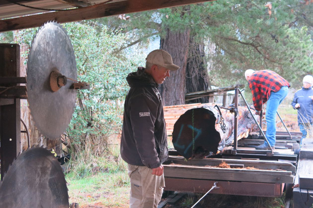 Uniquely harvested fine Tasmanian timbers for American 