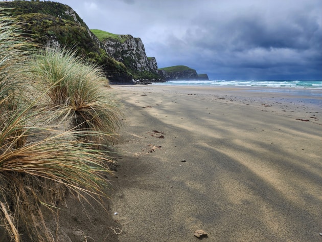 Fiona Treadwell, The Catlins