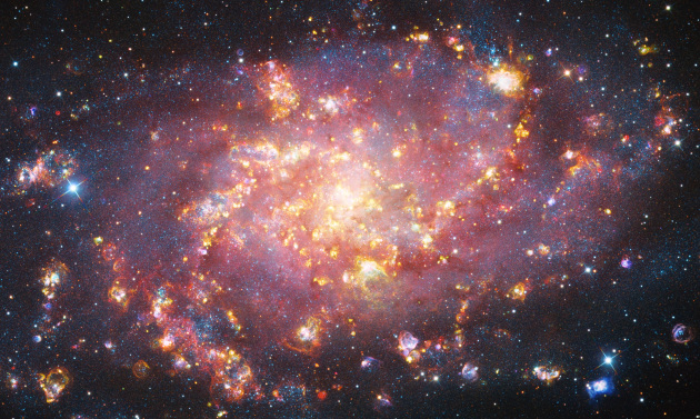 Highly commended, Fireworks © Bence Tóth, Péter Feltóti, Bertalan Kecskés (Hungary).
The image shows M33, the Triangulum Galaxy from a new perspective. Due to tidal interaction with M31, there is very prominent star-forming activity in M33, which results in a spectacular structure of emission nebulae. During processing, a separate SHO picture was created with a strong SII/H-alpha presence, the glowing red structures in the picture, and blended with a high-resolution LRGB processing of the continuum data, representing the ‘background’ light.