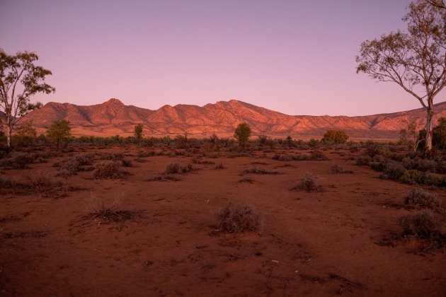 Flinders Ranges. Stephen Mabbs on Unsplash