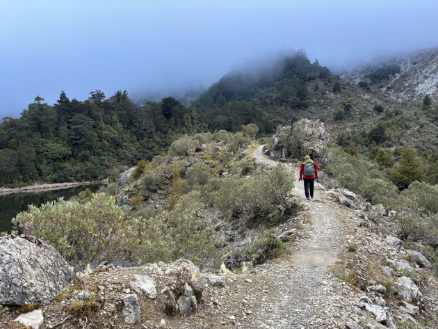 NZ's Old Ghost Road. Mathea Roorda