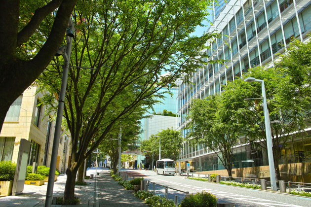 Green urban landscape.