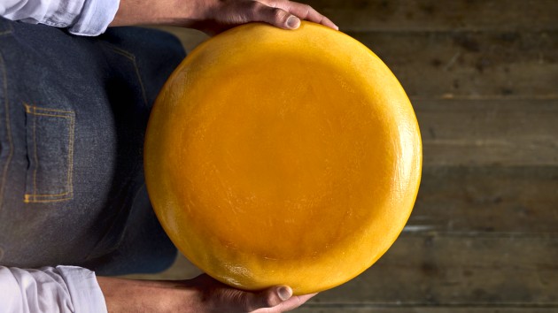 Global ingredients company, IFF, has launched a new culture developed to transform the production of semi-hard cheeses. The company said Choozit Lift is a first-of-its-kind ingredient, which will provide significant sustainability and business benefits.
Source: IFF
