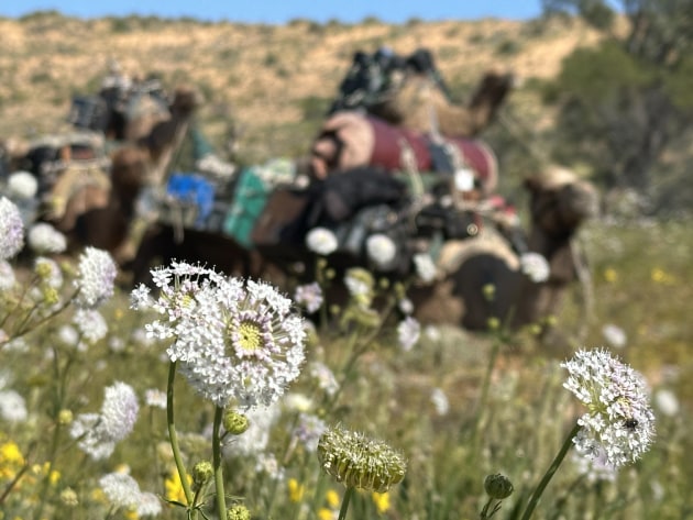 The team surveys areas never documented by scientists before.