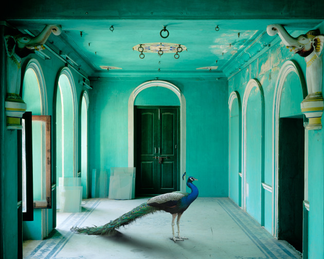 Photo: Karen Knorr / Magnum