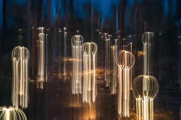 Laura Symes, Jelly lights