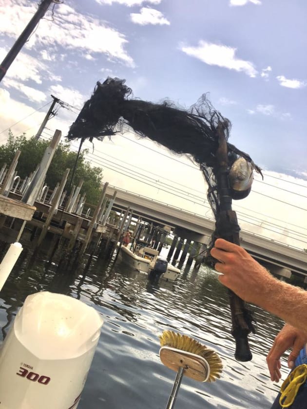 What happens when a fishing rod is struck by lightning Fishing World