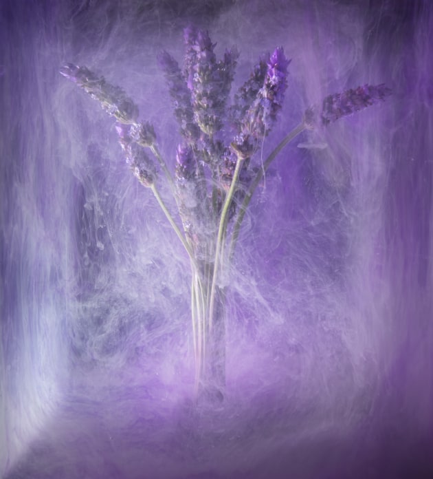 Linda Cuthbert, Liquid lavender