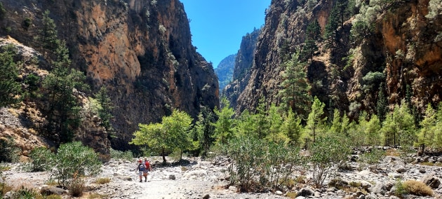 The 16km trek showcases rare flora and fauna, historic ruins.