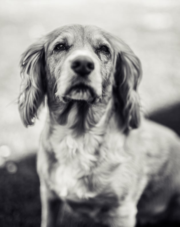 Canon EOS R6, 50mm lens. 1/3200s @ f4, ISO 100.
