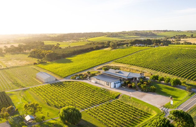 Maxwell Wines Estate. (Image: supplied)