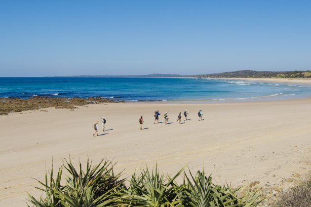 You’ll discover many coastal highlights in Yuraygir NP.