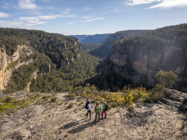 Carne View Lookout, Gardens of Stone SCA. NPWS
