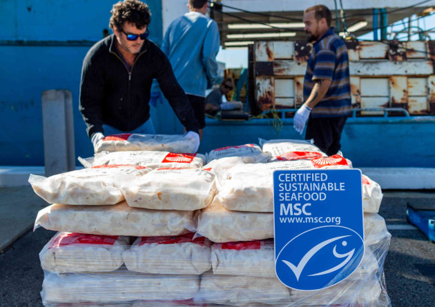 Sea Change Australia, funded by the federal government’s Fisheries Research and Development Corporation, is working to build climate resilient fisheries – currently focusing on Western Australian scallops.
Source: Government of Western Australia