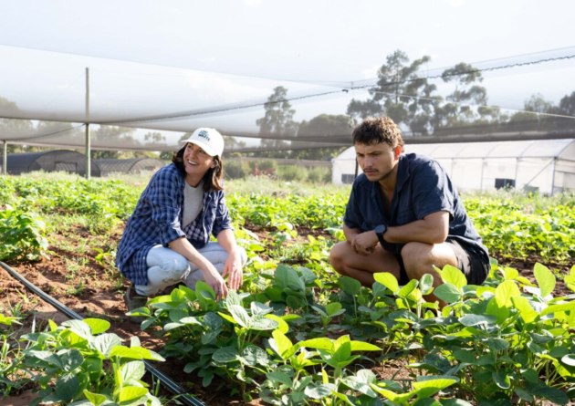 End Food Waste Australia (EFWA) and Hort Innovation have launched a new research program to tackle the challenges of harvest surplus and losses on-farm &ndash; a $2.5 billion opportunity for vegetable growers.
Source: EFWA