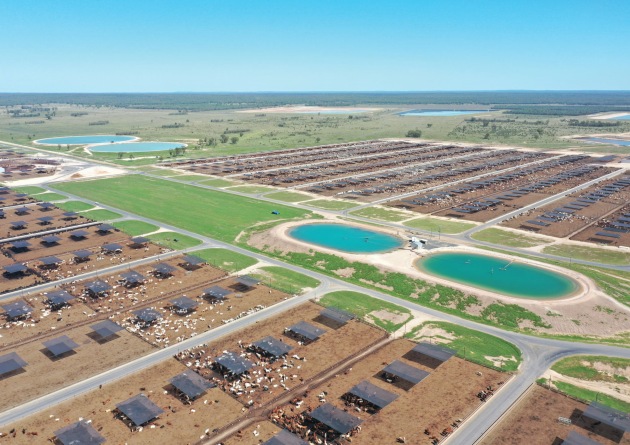 Australia&rsquo;s largest privately owned feedlot company, Mort & Co, will list its remaining assets on the market this week, after putting its Pinegrove and Yarranbrook feedlots up for sale last October. 
Source: Mort & Co