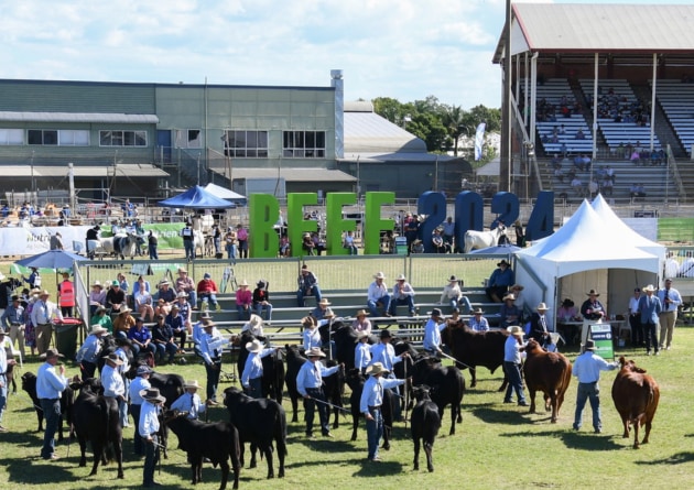 The Queensland government is investing $4.5 million into Beef2027 in Rockhampton, taking place from 2-8 May next year, aiming to showcase the state&rsquo;s beef industry.
Source: Beef Australia