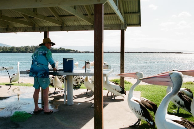 Nicholas Ferrante, Standoff