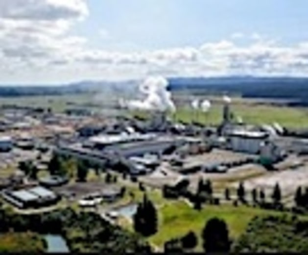 norske skog tasman 135