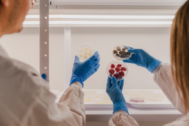 Israeli biotech start-up, Novella Innovative Technology, has announced a long-term strategic partnership with Metaphor Foods, the innovation arm of ingredients and processing company, Hela APAC. 
Source: Novella