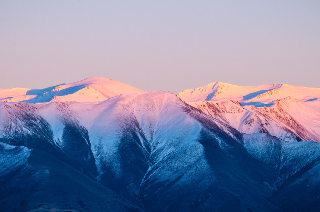 Image: Richard Young