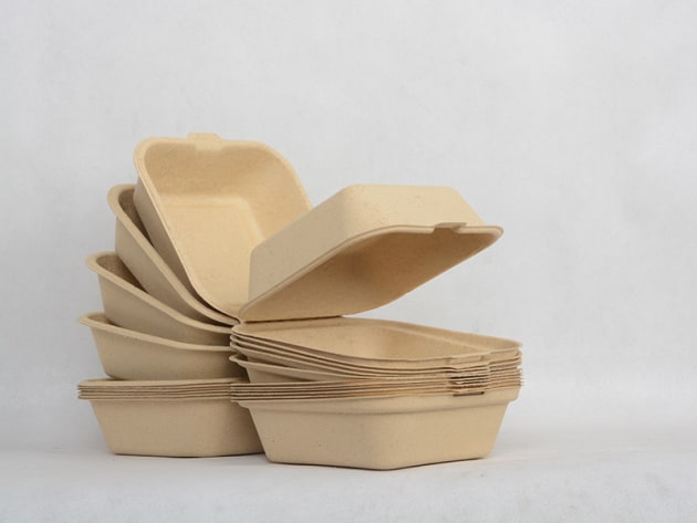 Papyrus’ technology converts banana plantation waste into a refined fibre that can be used to produce a range of environmentally friendly, commercially viable moulded food packaging products including trays, plates, cup holders, egg cartons and clam shells. Image: Papyrus Australia