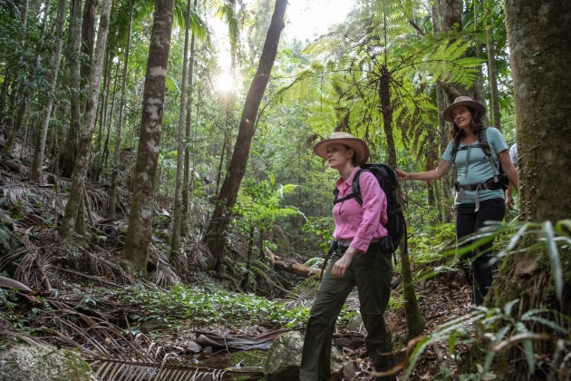 Scenic Rim Trail