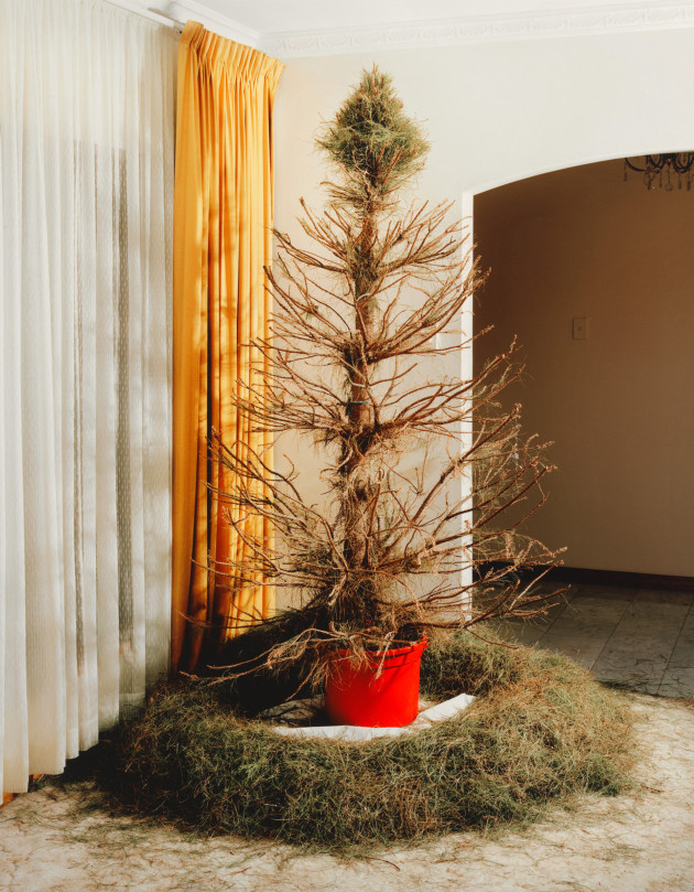 Trent Parke, Christmas tree, 2008, National Gallery of Australia, Kamberri/Canberra, purchased 2013 &copy; Courtesy of the artist, Hugo Michell Gallery, and Michael Reid Galleries