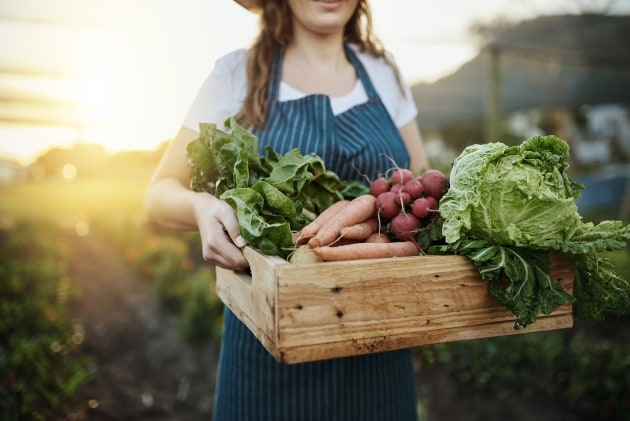 Perth-based food technology company, Whole., has launched a Pre-Series A investor round, aiming to commercialise its proprietary WINX (Whole Ingredient Nutrient Extraction) platform, which transforms plant ingredients into functional food formats.
Source: Whole.