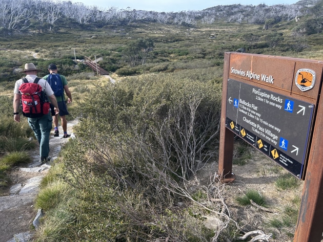 The start of the Perisher Valley to Bullocks Flat walk.