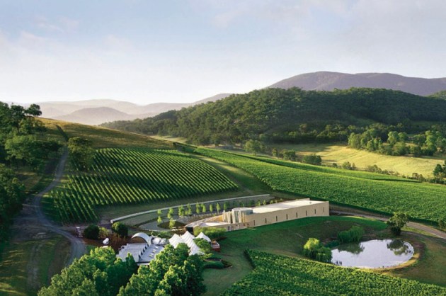 Victoria has unveiled a five-year strategy to boost the state’s $9.5 billion wine sector, aiming to grow agriculture, boost innovation, and create jobs that strengthen regional economies.
Source: Wine Victoria