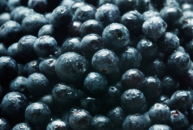 The federal government has signed a new agreement with Vietnam to secure market access for Australian blueberry producers, with trade expected to be worth approximately $22 million over the next five years.
Source: Thinkstock