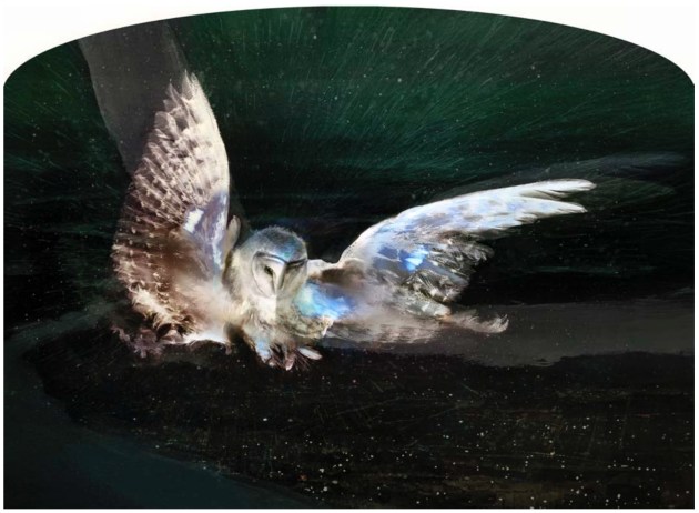 Ascending Being 10—Her wing caught on a barbed wire fence, night becoming day and the bone pierced. Ruth slips off her owl body, exploding into the sky over Lake Burley Griffin, to become a sun. Lumachrome Glass Print, Cliche-Verre, Chemigram and drawing. Trapped deceased Eastern Barn Owl, seeds, feather-top grass, turmeric, coffee, liquid paper, sulphuric acid and silver chlorides, exposed 40 hours with electric current, in a geodesic dome. Image: Judith Nangala Crispin