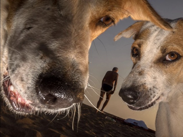 Image: Dougie Wallace