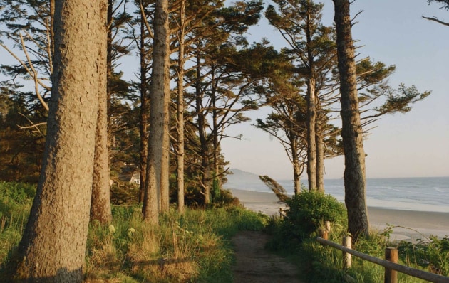 Ekatcolor Pro 800 film. Image: Kodak