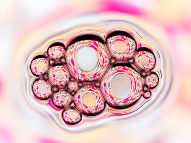 Simone Slater, Oil and water 2