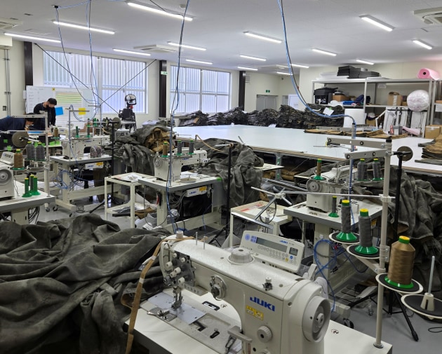 Spearpoint Japanese Plant. 
Images supplied by Spearpoint