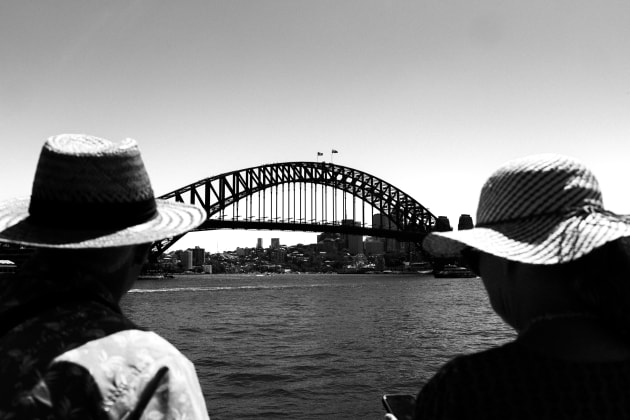 Steve Puli, Bridge between two hats