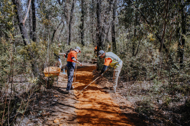 Teams working on the walking track. NPWS