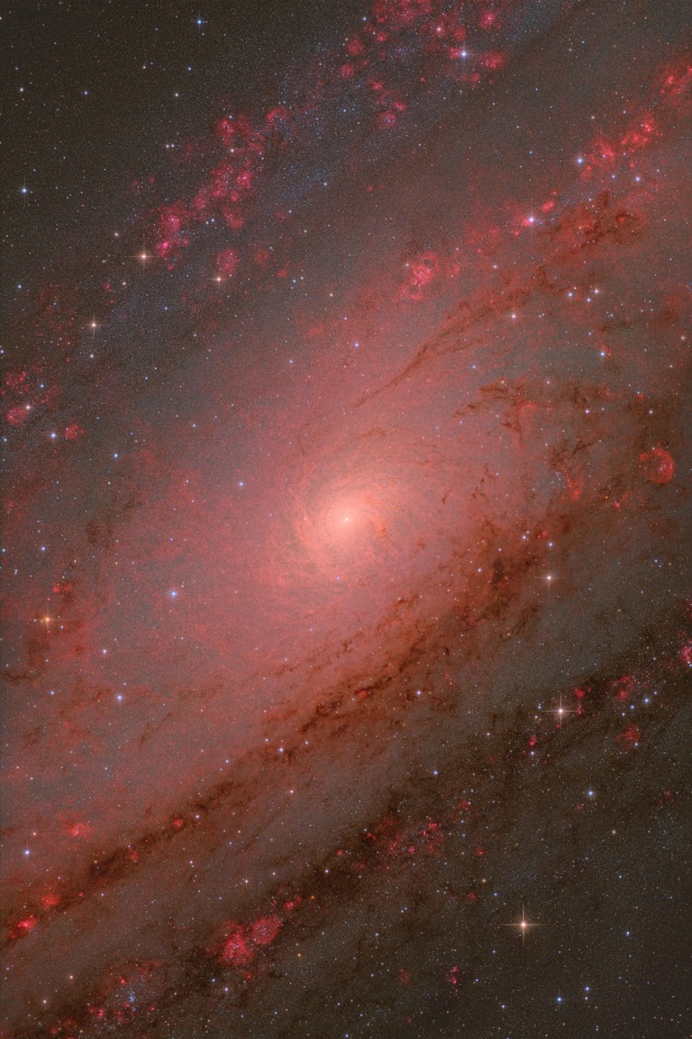Overall winner,
The Andromeda Core © Weitang Liang, Qi Yang, Chuhong Yu (China).
This image showcases the core of the Andromeda Galaxy (M31) in exceptional detail, captured using a long focal-length telescope. Taking advantage of the excellent seeing conditions at Nerpio, the photographers focused on revealing the intricate structure of the galaxy’s central region and its surrounding stellar population.